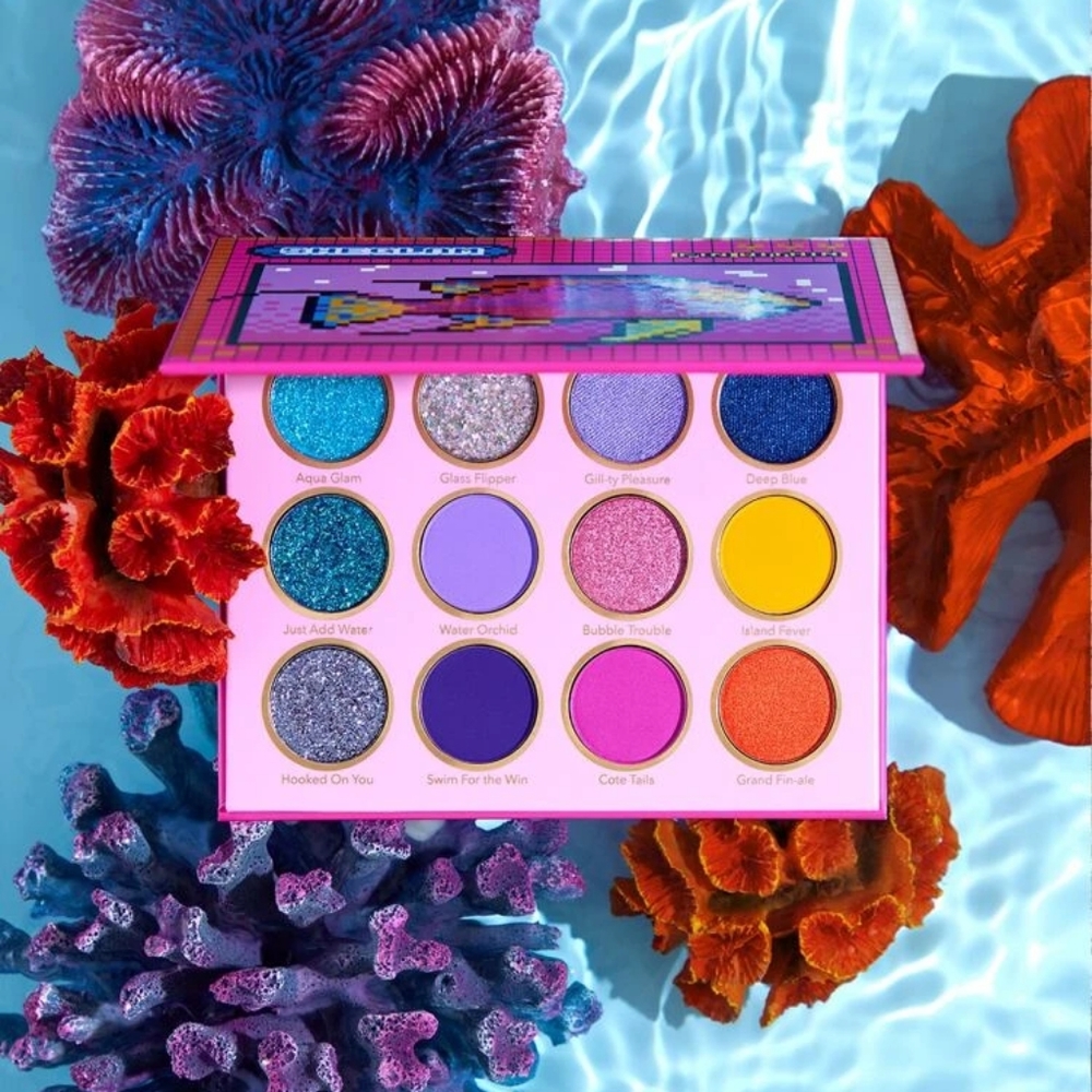Fin Within Palette